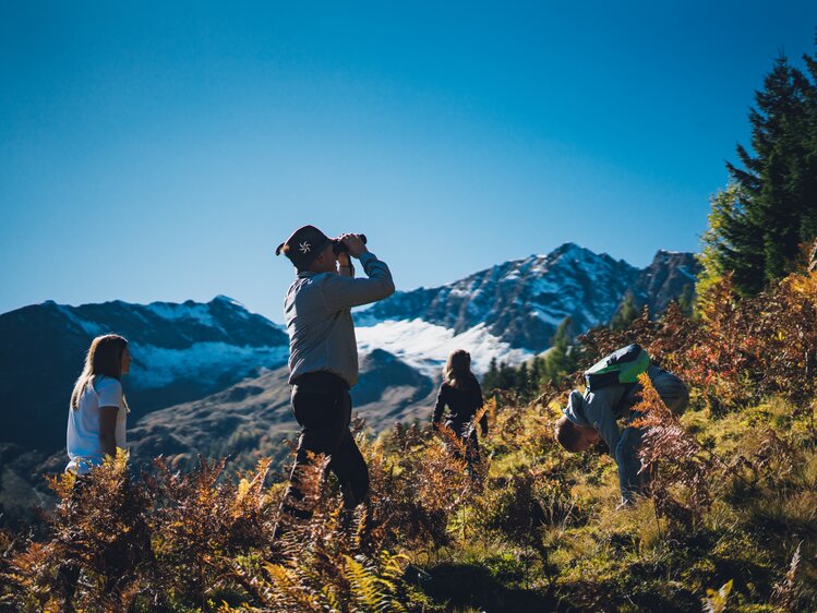 Gemeinsame Wanderung und Pirsch auf einer Salzburger Alm  | © Urlaub am Bauernhof Salzburg / Daniel Gollner 