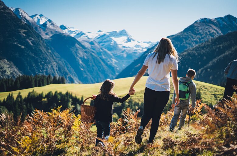 Mutter mit Kind an der Hand spaziert auf der Alm | © Urlaub am Bauernhof Salzburg / Daniel Gollner 