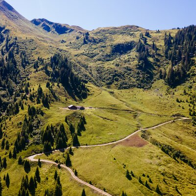 Die Dürsteinalm aus der Vogelperspektive | © Urlaub am Bauernhof / Daniel Gollner Lush green valley nestled between towering mountains covered in pine trees, with a winding path leading through the scenic landscape. | © Urlaub am Bauernhof / Daniel Gollner