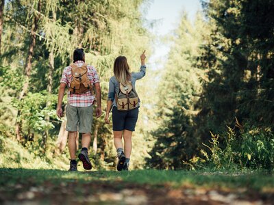 Paar wandert im Wald | © Urlaub am Bauernhof Steiermark / Daniel Gollner 