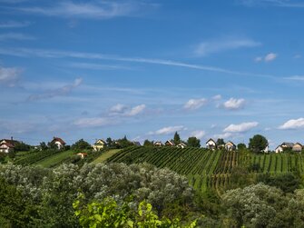 © Burgenland Tourismus GmbH / Birgit Machtinger