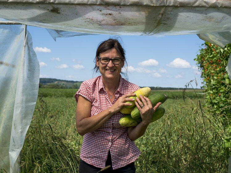 Bäuerin beim Gemüse-ernten im Südburgenland | © Urlaub am Bauernhof Burgenland / Melanie Limbeck