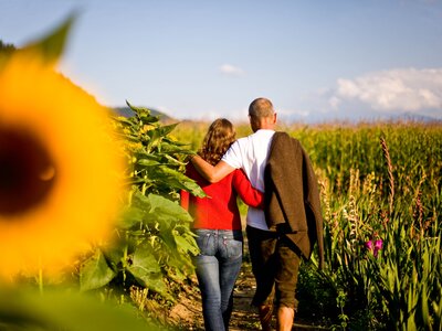 Paar spaziert am Weg durch die Sonnenblumen | © Urlaub am Bauernhof Kärnten / Tom Lamm