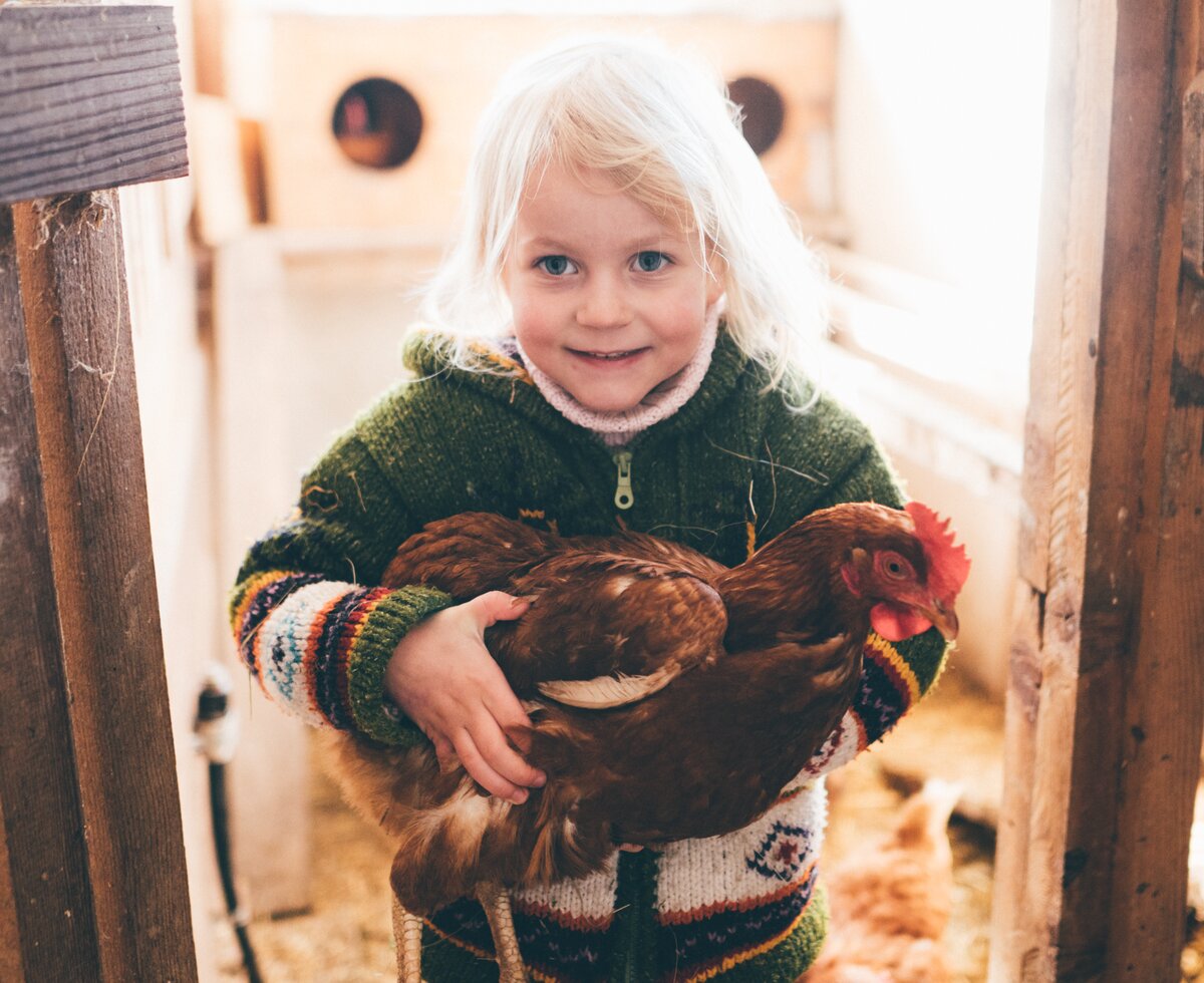 Mädchen hält Huhn in der Hand | © Urlaub am Bauernhof Kärnten / Daniel Gollner