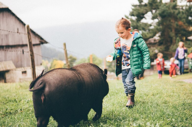 Kind und Schwein auf der Wiese | © Urlaub am Bauernhof Kärnten/Daniel Gollner