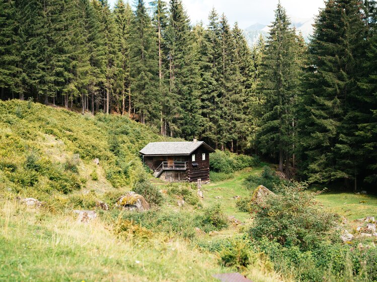 Hütte auf der Almwiese | © Urlaub am Bauernhof Kärnten / Daniel Gollner