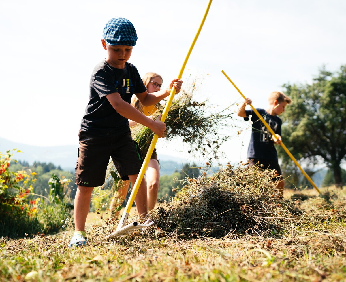 Kinder machen Heu auf der Wiese | © Urlaub am Bauernhof Kärnten/ Daniel Gollner