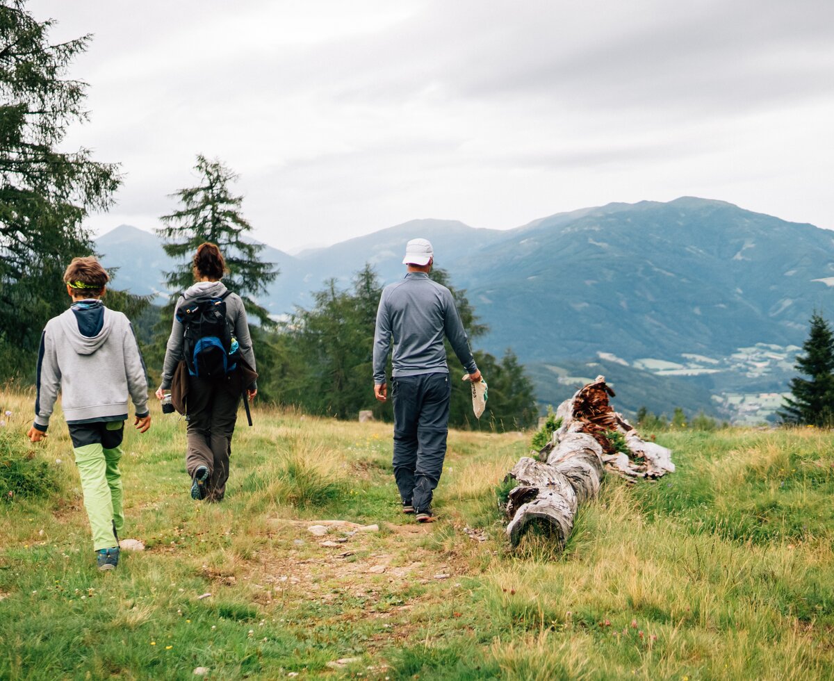 Familie geht am Almweg | © Urlaub am Bauernhof Kärnten/ Daniel Gollner