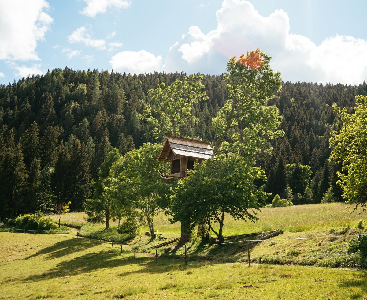 Das Baumhaus am Natur Gut Lassen Gelände | © Urlaub am Bauernhof Kärnten / Daniel Gollner