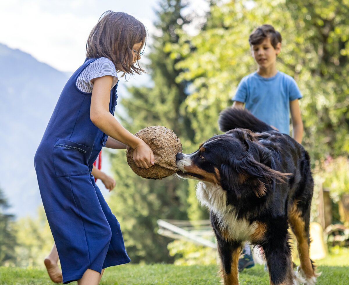 Hund beißt in den Ball während das Mädchen diesen hält | © Landesverband Urlaub am Bauernhof Kärnten/ Achim Mandler