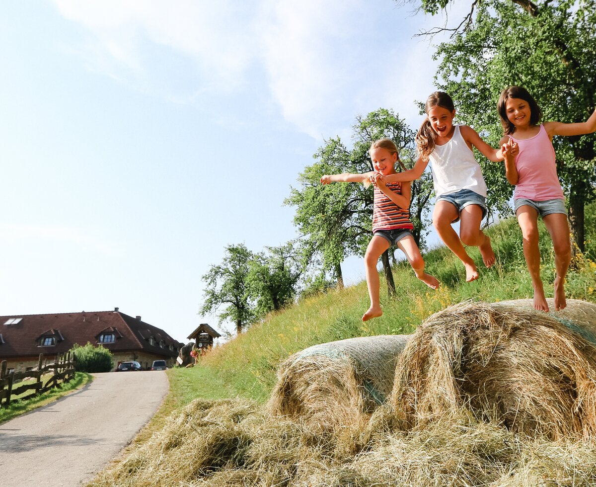 Girl jumping from bales of straw  | © Niederösterreich Werbung / schwarz-koenig.at