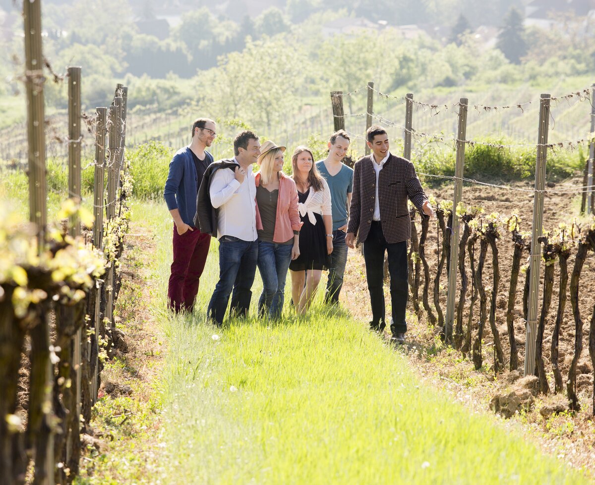 People standing in the vineyard  | © Weinviertel Tourismus / Astrid Bartl