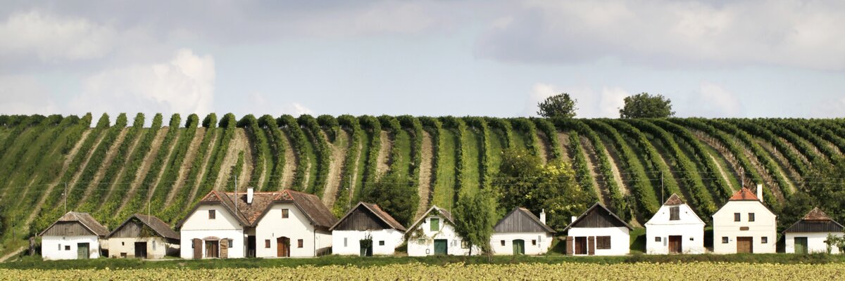 Landscape photo of cellar alley Diepolz in the weinviertel region | © Weinviertel Tourismus / Christine Wurnig