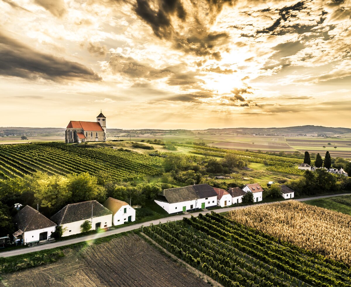 Wartberg cellar alley in the Weinviertel region | © Weinviertel Tourismus / Herbst