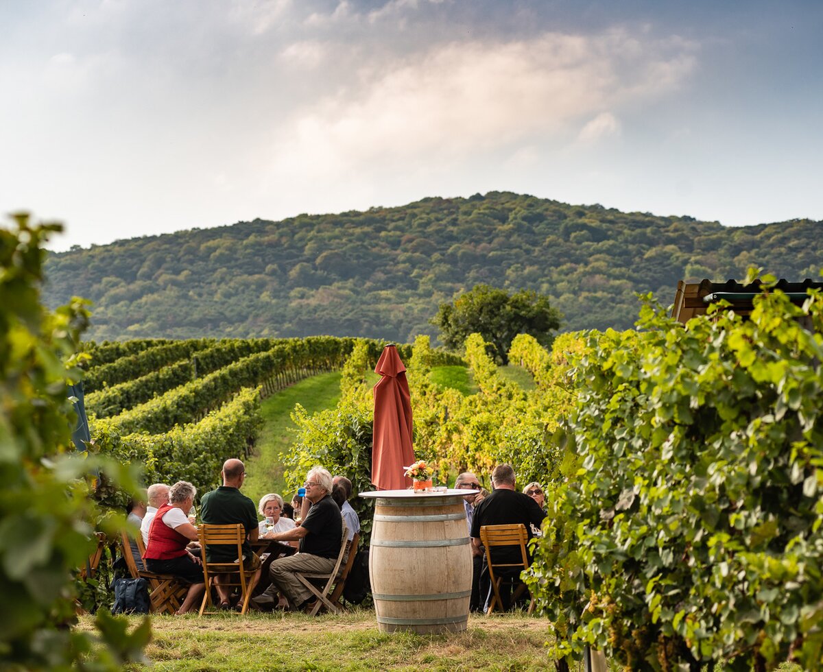 People have a snack in the vineyard in the Vienna Woods | © Wienerwald Tourismus / Christian Dusek