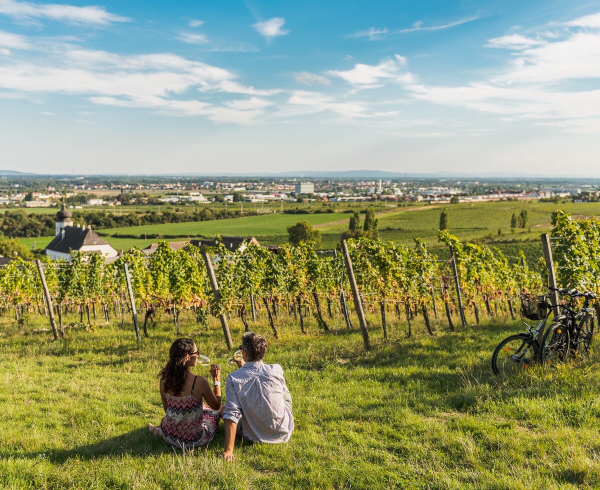 Couple sitting with glass of wine in the vineyard in the Vienna Woods | © Wienerwald Tourismus / Christian Dusek