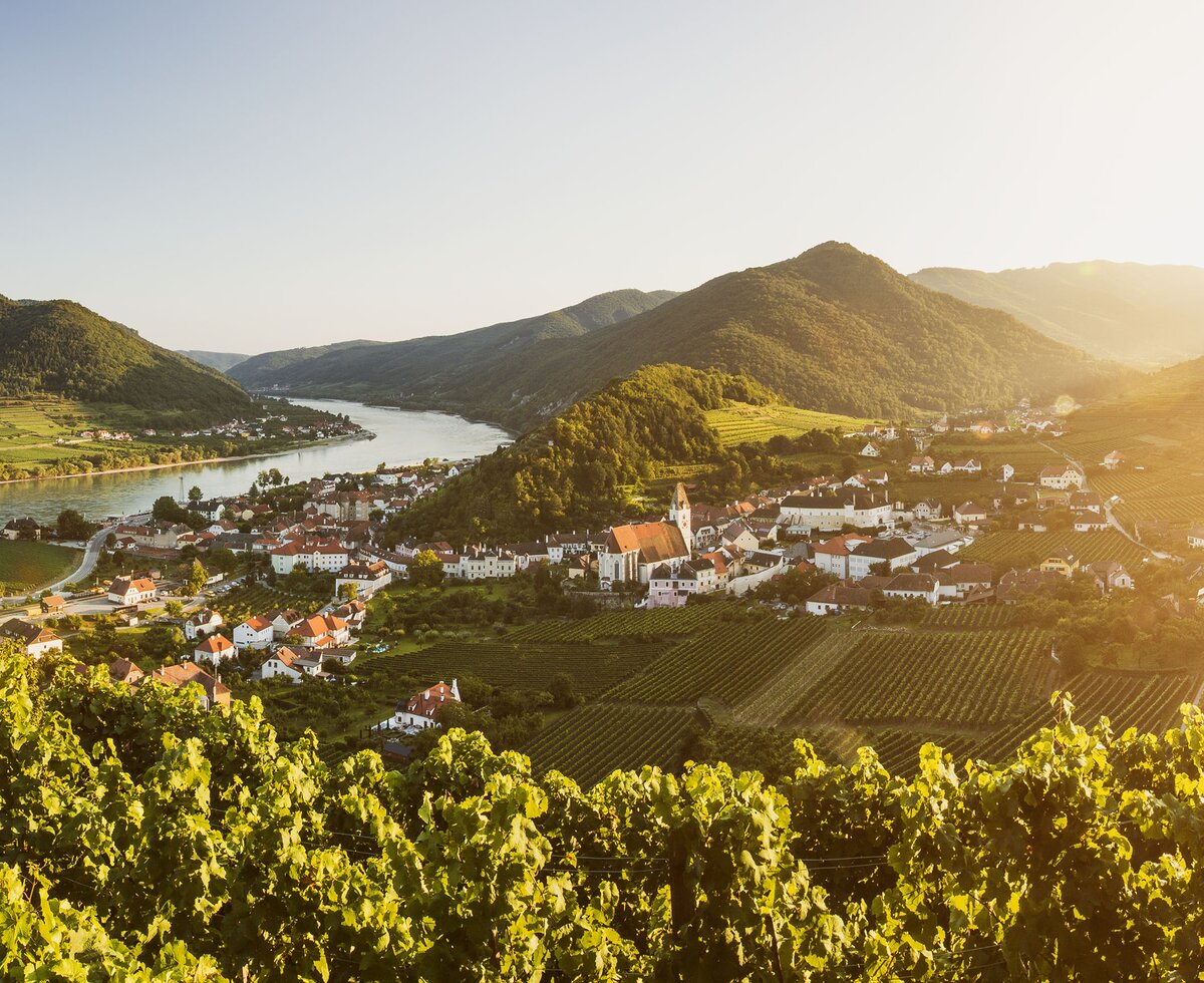 Spitz an der Donau in der Wachau | © Niederösterreich Werbung / Michael Liebert