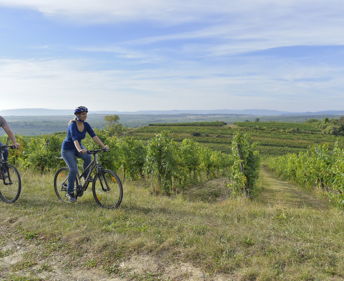 Couple rides a bike in the vineyard | © Urlaub am Winzerhof / Ralph Fischbacher