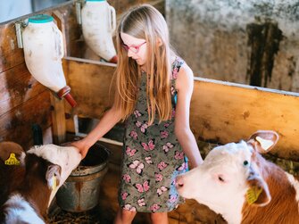 Mädchen streichelt Kälbchen im Stall | © Urlaub am Bauernhof Oberösterreich / Daniel Gollner