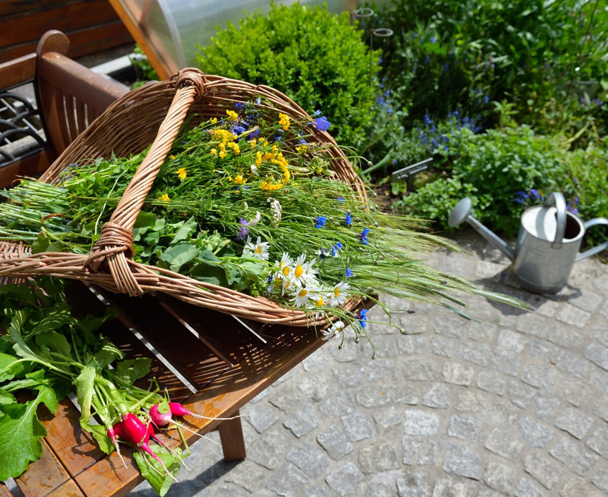 Korb mit Blumen, Kräutern und Gemüse aus dem Garten | © Urlaub am Bauernhof Oberösterreich / Ralph Fischbacher