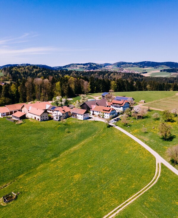 Biohof Stadler in Oberkappel, Mühlviertel | © Urlaub am Bauernhof Oberösterreich / Daniel Gollner