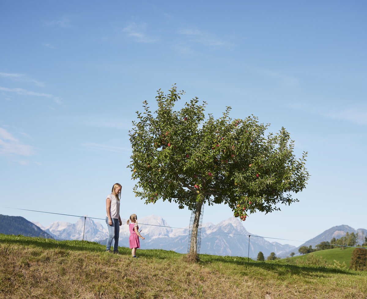 Kind und Mutter stehen bei Apfelbaum | © Urlaub am Bauernhof / Alexander Kaiser