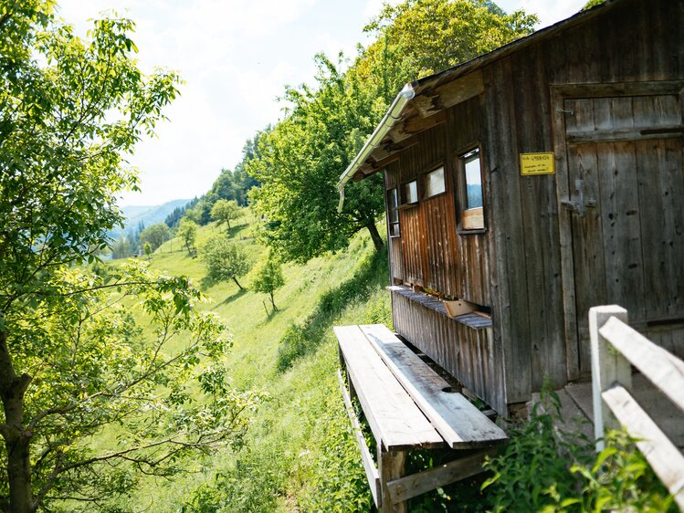 Bienenhütte mitten in der Natur | © Urlaub am Bauernhof Oberösterreich / Daniel Gollner