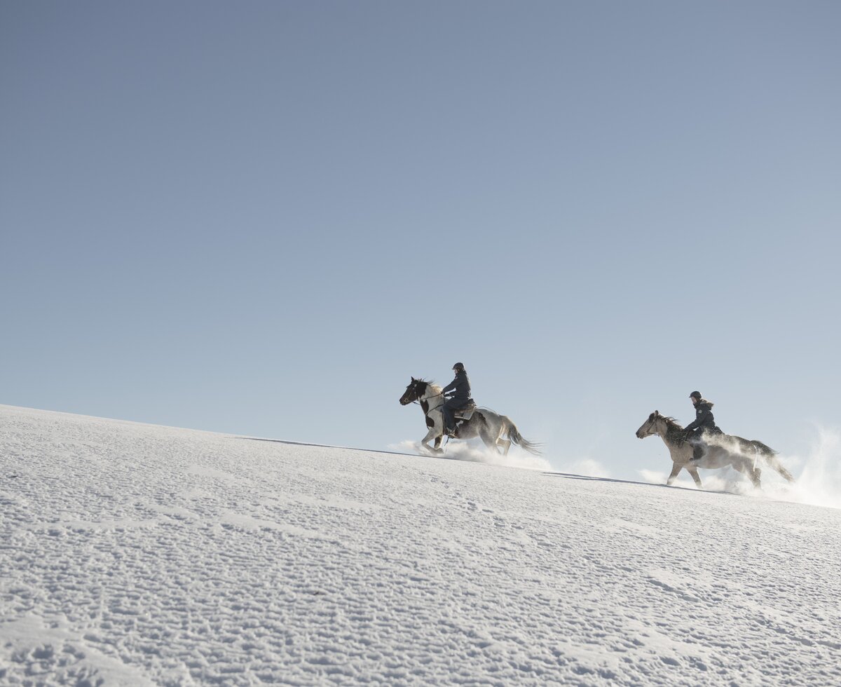 Zwei Pferde galoppieren durch den Schnee im Pferdereich Mühlviertler Alm, Mühlviertel | © Oberösterreich Tourismus GmbH / David Lugmayr