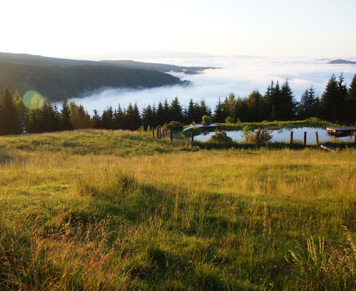 morgendlicher Blick von der Galgenhütte ins nebelige Tal | © Urlaub am Bauernhof Österreich / Markus Lackinger