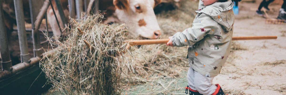 Kinder helfen im Stall bei den Kühen | © Urlaub am Bauernhof / Daniel Gollner