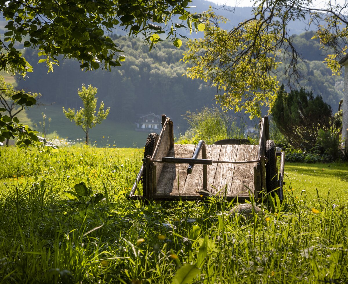 alter Milchwagen in der Wiese am Hof | © Urlaub am Bauernhof Österreich / Bernd Suppan