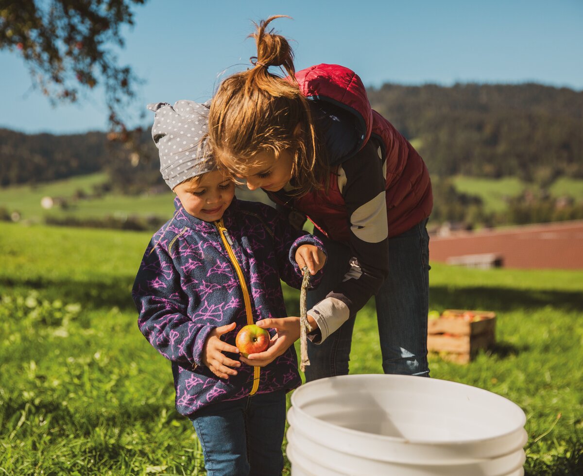 Zwei Kinder bei der Apfelernte mit Apfel in der Hand im Herbst | © Urlaub am Bauernhof in Österreich / Pascal Baronit