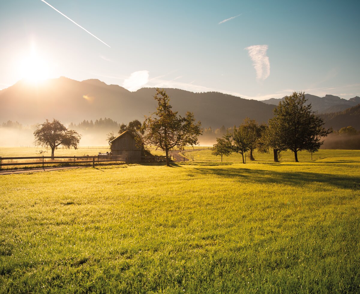 Blick auf eine Hütte mit herbstlichen Wiesen und Tau in der Morgensonne | © Urlaub am Bauernhof in Österreich / Pascal Baronit