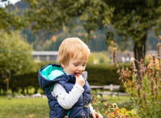 Bub beim Himbeeren naschen | © Urlaub am Bauernhof / Punkt und Komma