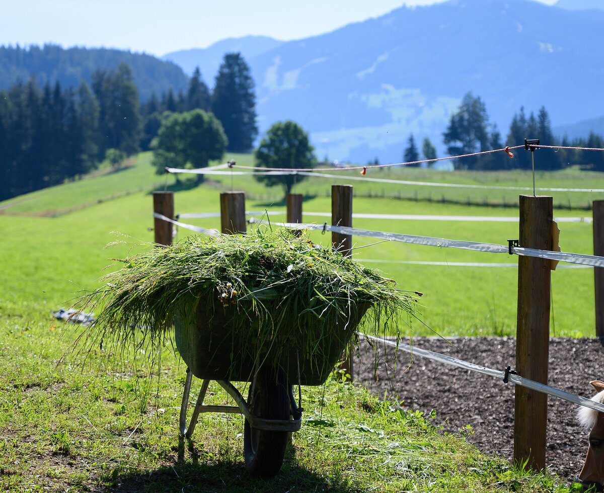 Eine mit frischem Gras befüllte Schubkarre steht neben einem Reitplatz | © Katja Stadler / Urlaub am Bauernhof