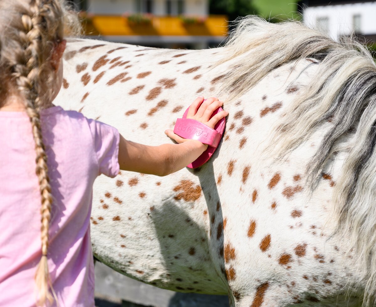 Ein Mädchen striegelt ein Pferd | © Urlaub am Bauernhof / Punkt und Komma