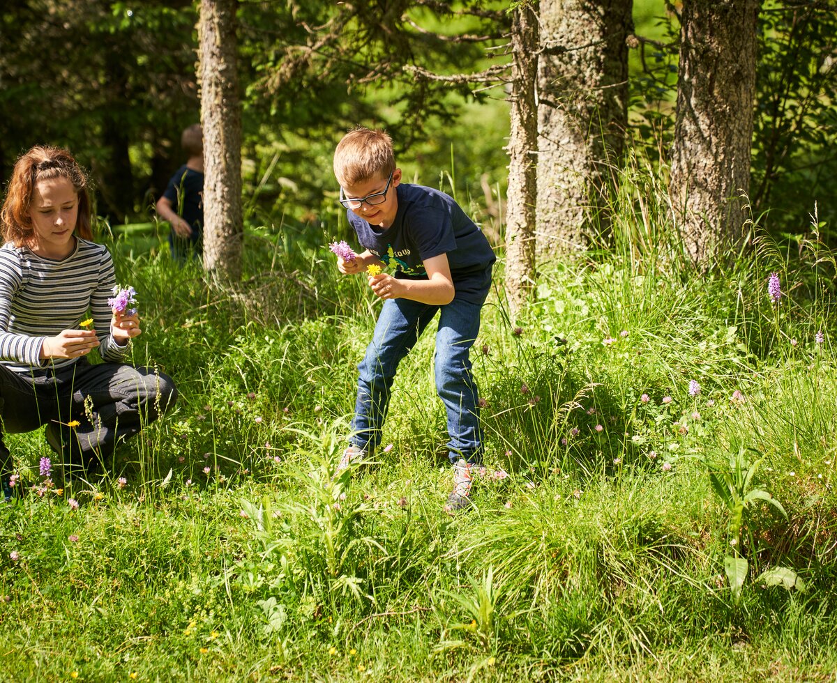 Kinder pflücken Blumen im Wald | © Urlaub am Bauernhof / Punkt und Komma