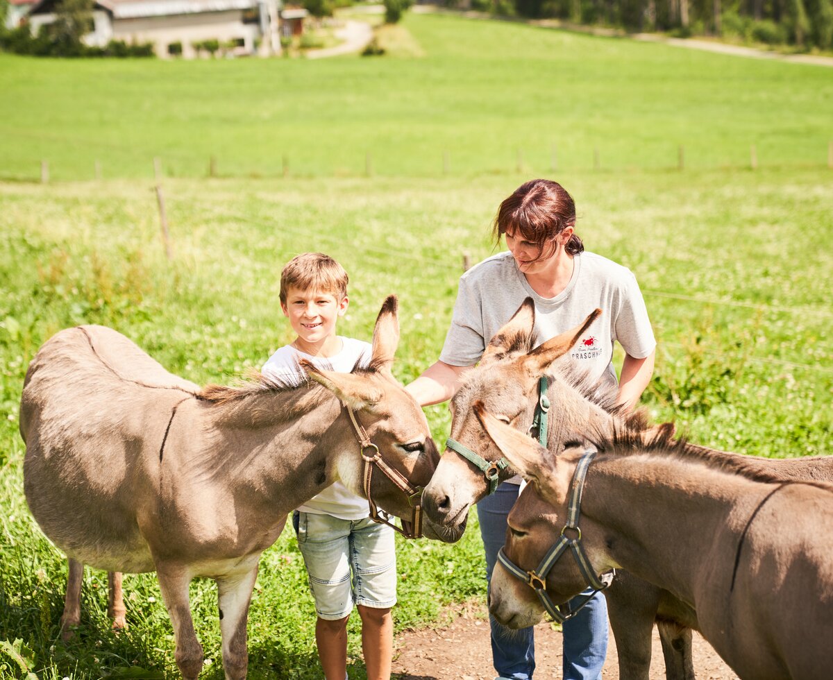 Kind und Frau mit einem Esel | © Urlaub am Bauernhof / Punkt und Komma