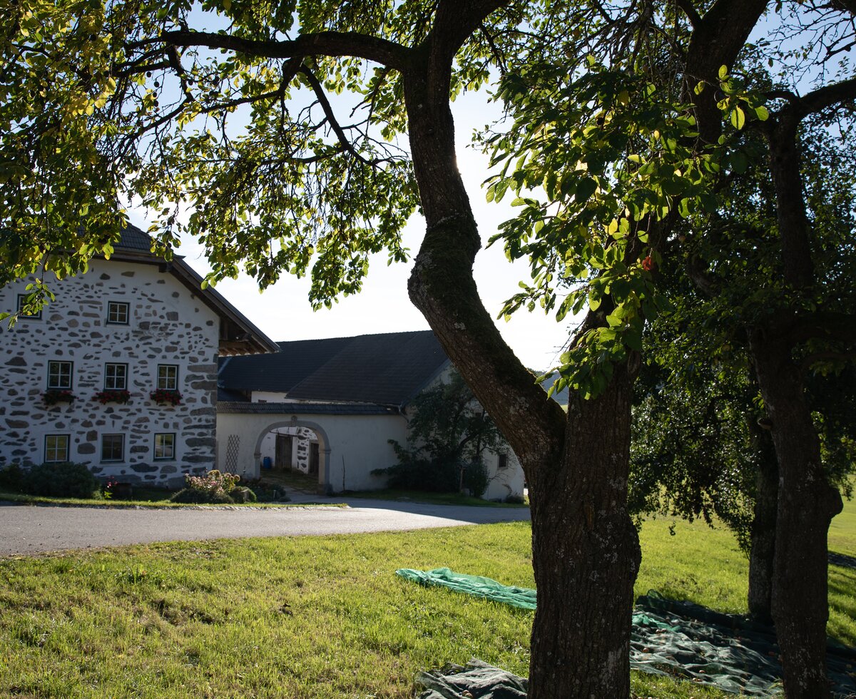 Außenansicht Verwoehnbauernhof Muehlviertel | © Urlaub am Bauernhof / Punkt und Komma