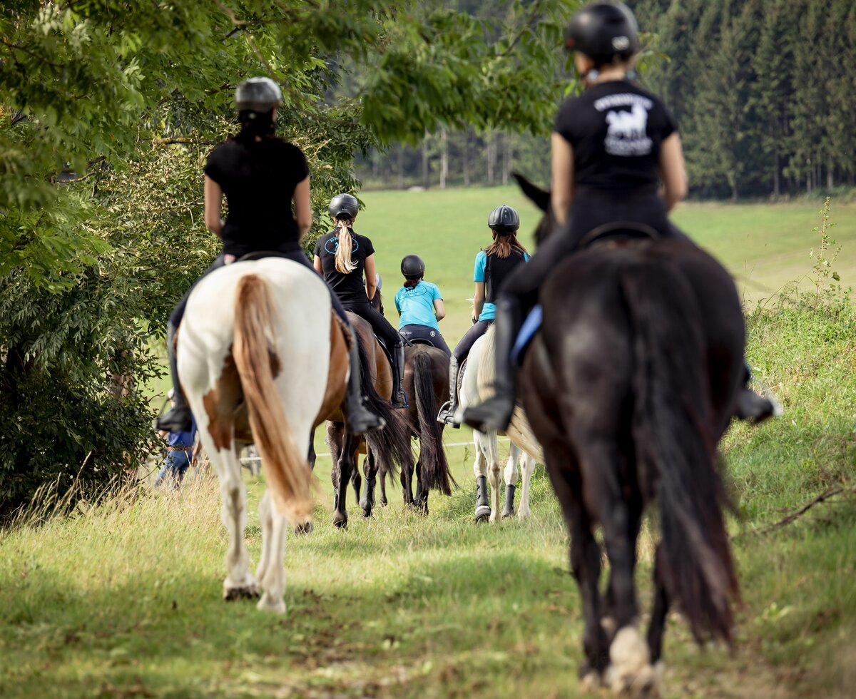 Ausritt im Gelände am Pferdehof Stockner auf der Teichalm in der Steiermark | © Urlaub am Bauernhof Österreich / Andreas Hofer