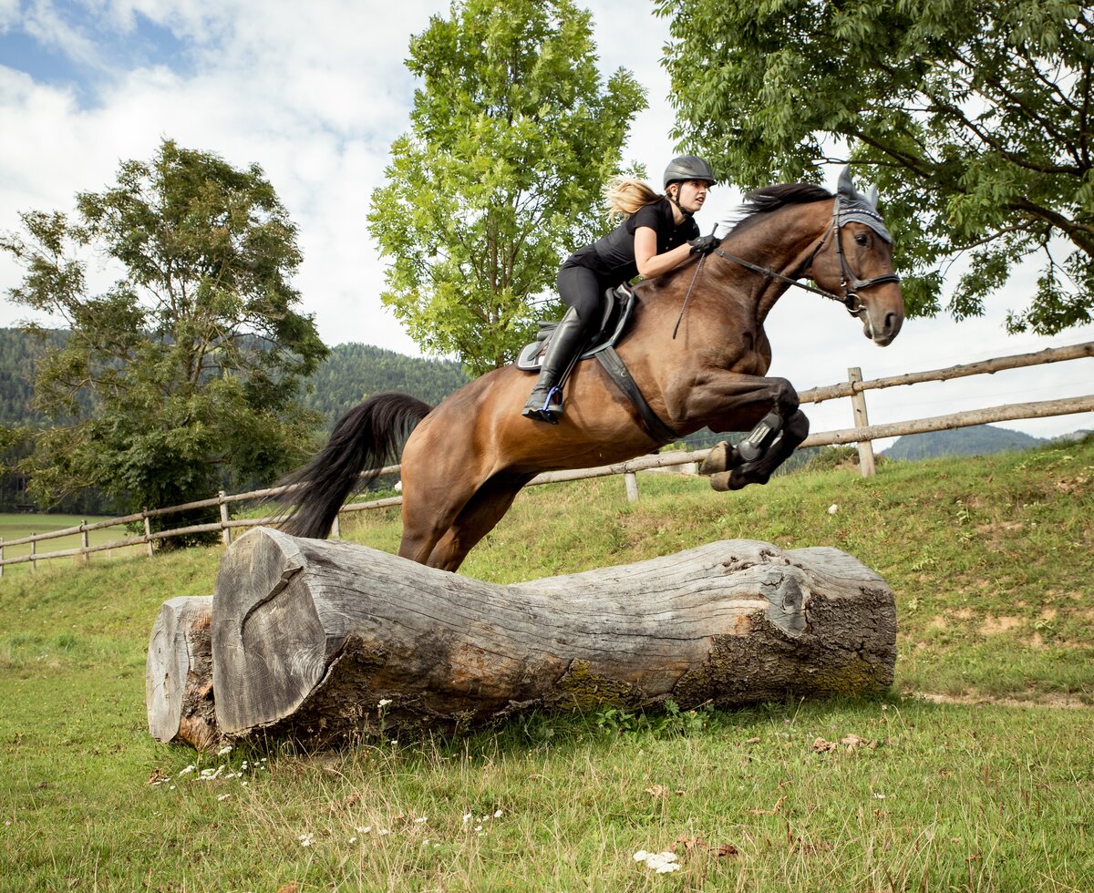 Mädchen springt mit Pferd über einen Baumstamm am Pferdehof Stockner auf der Teichalm | © Urlaub am Bauernhof Österreich / Andreas Hofer