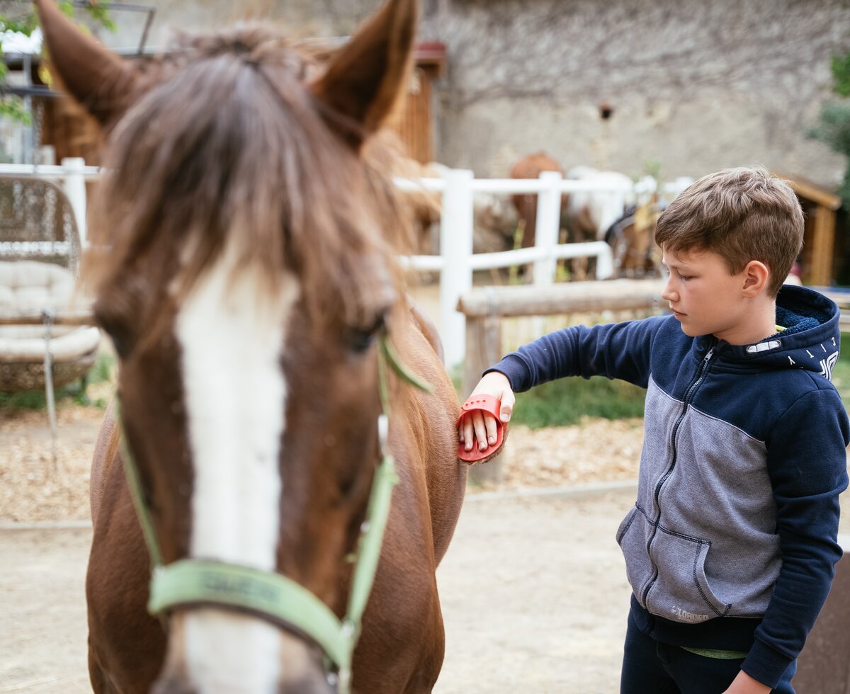 Bub striegelt Pferd | © Urlaub am Bauernhof / Daniel Gollner