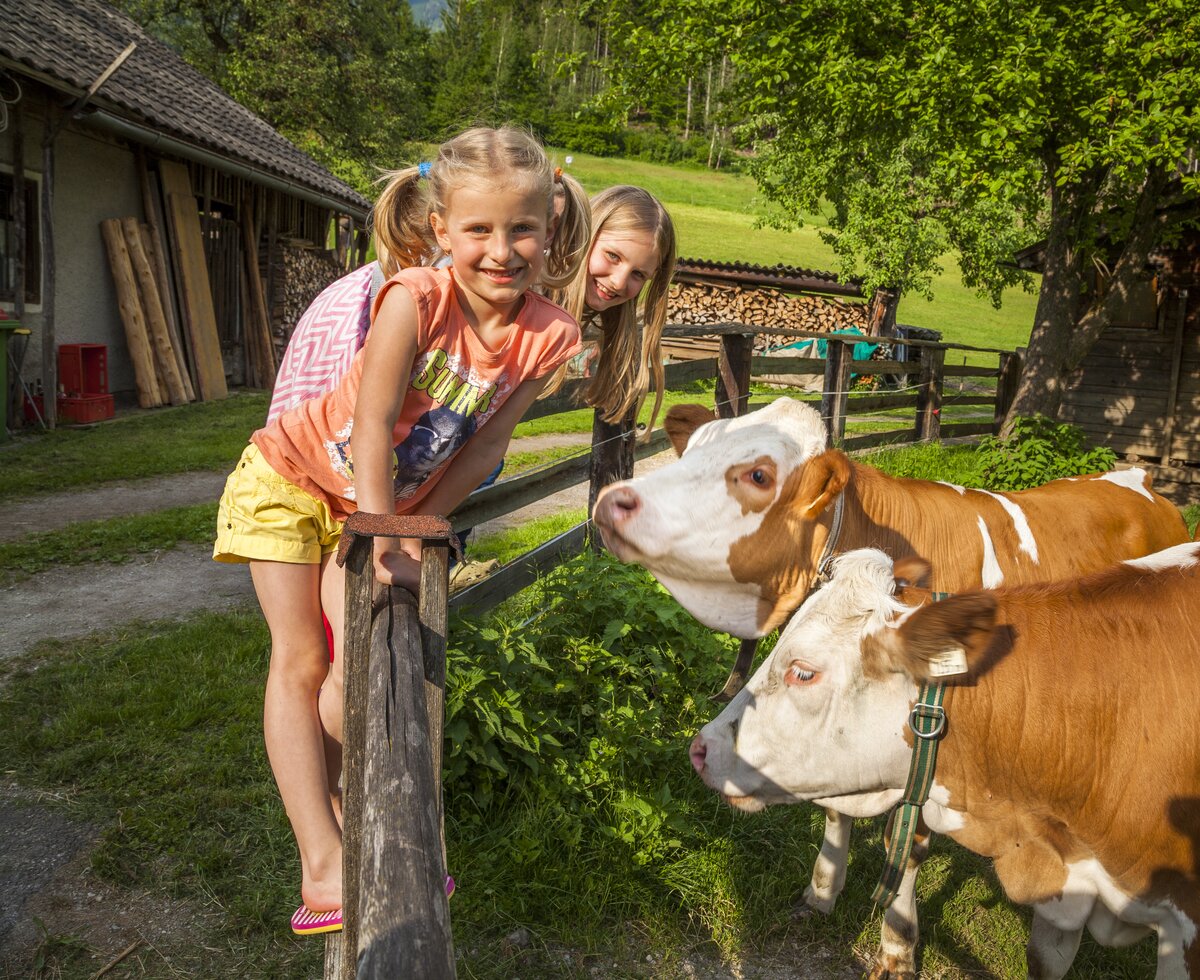 Kinder mit Kühen, Einberghof in Pfarrwerfen, Salzburger Land | © Urlaub am Bauernhof Salzburger Land / Bernd Suppan