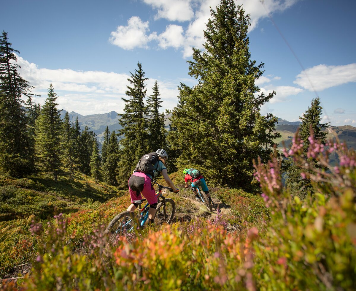 Mountainbiken Saalbach | © Salzburger Land Tourismus/ David Schltheiss