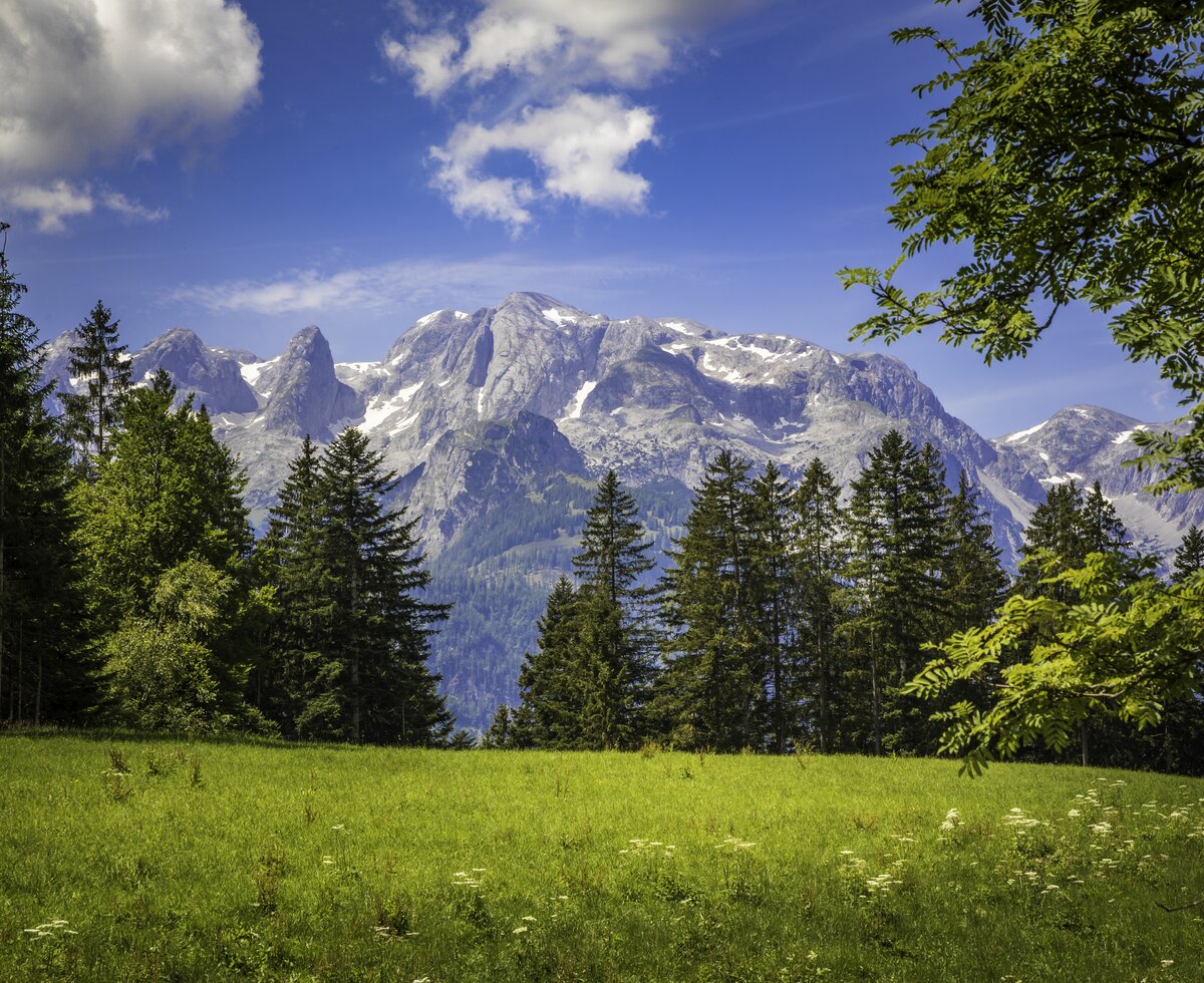 Gebirge, Landschaft, Werfenweng, Leitengut, Salzburger Land | © Urlaub am Bauernhof Salzburger Land / Bernd Suppan