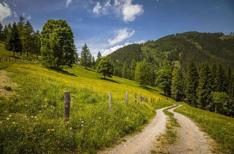 Schotterstraße im Almgebiet, Helferalm Niedernfritz, Salzburger Land | © Urlaub am Bauernhof Salzburger Land / Bernd Suppan