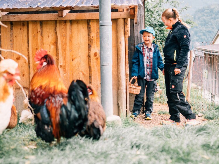 At the organic farm Eislbauer children can get eggs from the henhouse themselves. | © Farmholidays in SalzburgerLand / Daniel Gollner