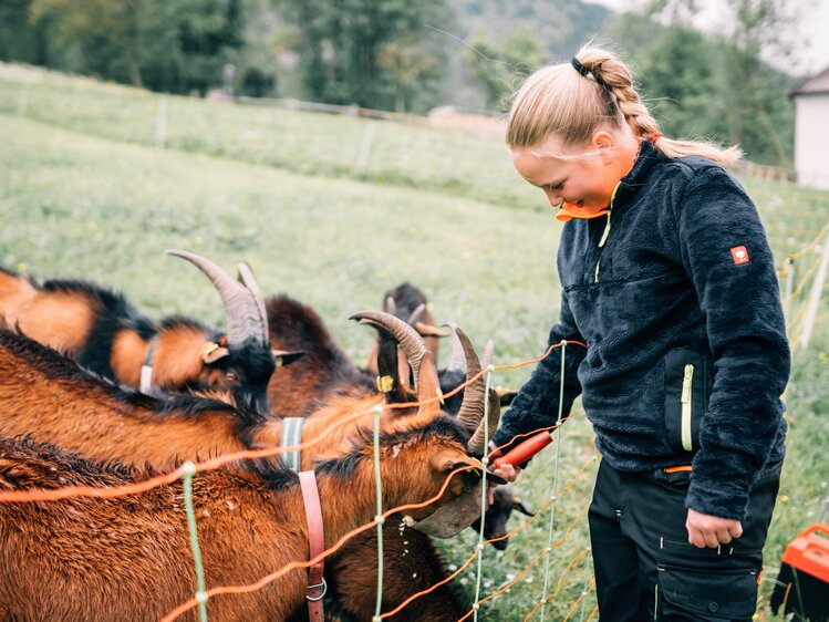 Girl with goats at the organic farm Eislbauer in SalzburgerLand | © Farmholidays in SalzburgerLand / Daniel Gollner