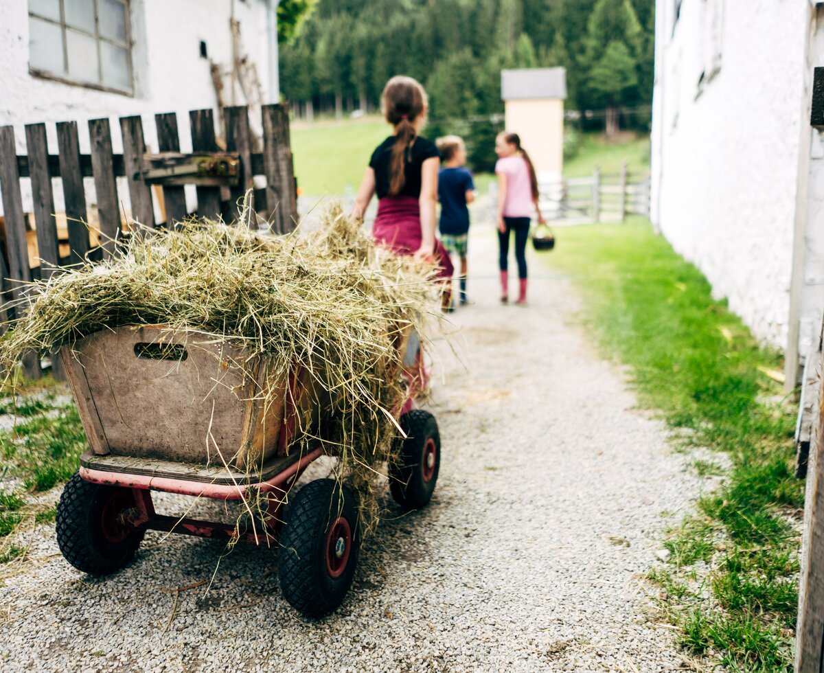 Ein Mädchen zieht einen Heuwagen hinter sich her. | © Urlaub am Bauernhof im SalzburgerLand / Daniel Gollner