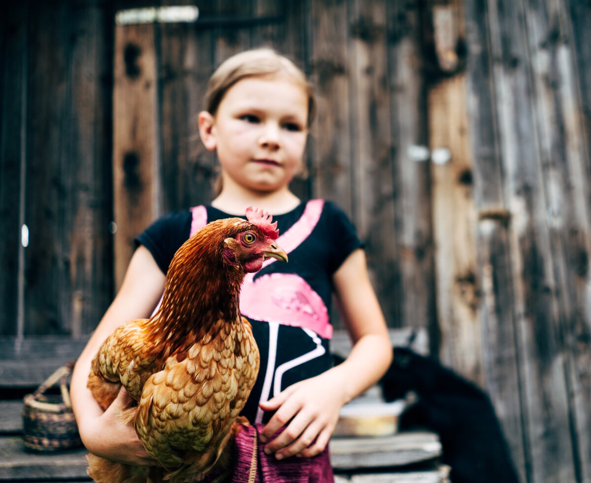 Ein Mädchen hält ein Huhn am Arm. | © Urlaub am Bauernhof im SalzburgerLand / Daniel Gollner